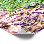 Crow Wood Park, Sowerby Bridge Poster (Hoek)