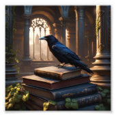Crow Zittend op oude boeken in een kerk Foto Afdruk (Voorkant)