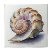 Crowie Conch Shell Waterverf Tegel Tegeltje (Voorkant)