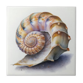 Crowie Conch Shell Waterverf Tegel Tegeltje