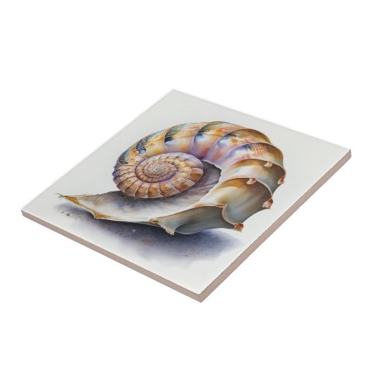 Crowie Conch Shell Waterverf Tegel Tegeltje (Zijkant)