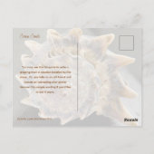 Crown Conch Seashell Photography Postcard Briefkaart (Achterkant)