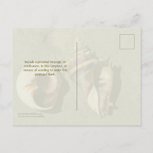 Crown Conch Seashells in Natuur Briefkaart (Achterkant)