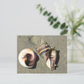 Crown Conch Seashells in Natuur Briefkaart (Staand voorkant)