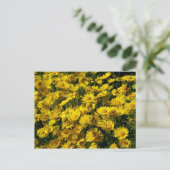 Crown Daisies/Chrysanthemum Coronarium Briefkaart (Staand voorkant)