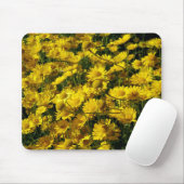 Crown Daisies/Chrysanthemum Coronarium Muismat (Met muis)