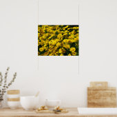 Crown Daisies/Chrysanthemum Coronarium Poster (Keuken)