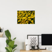 Crown Daisies/Chrysanthemum Coronarium Poster (Thuiskantoor)