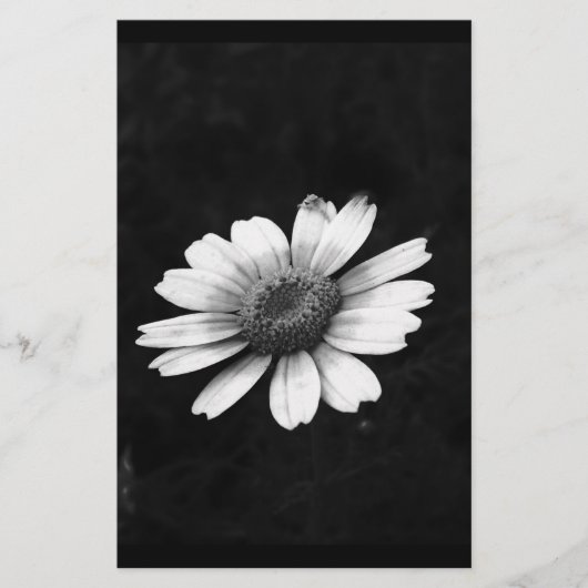 Crown Daisy Briefpapier (Voorkant)