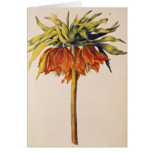 Crown Fritillary uit 'La Guirlande de Julie'