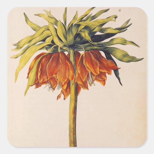 Crown Fritillary uit 'La Guirlande de Julie' Vierkante Sticker (Voorkant)