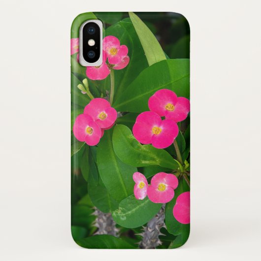 Crown of Thorns roze bloesems Case-Mate iPhone Case (Achterkant)