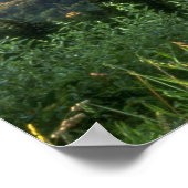 Crown Point, Columbia River Gorge, Oregon Poster (Hoek)