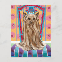 Crown Princess Yorkie