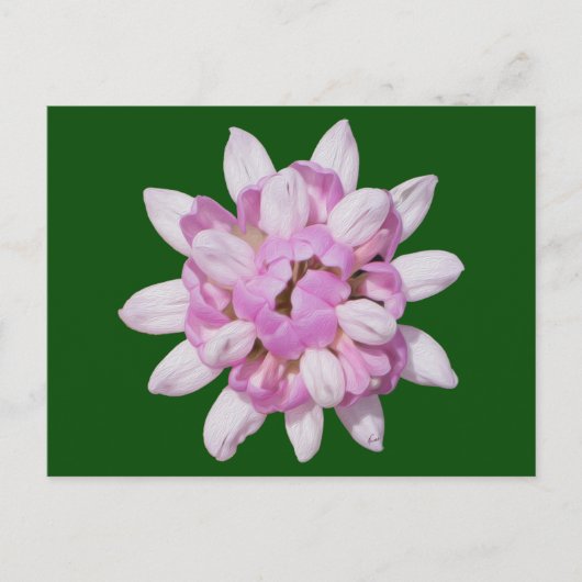 Crown Vetch #1 Briefkaart (Voorkant)