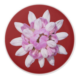 Crown Vetch #1 Keramische Knop