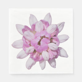 Crown Vetch #1 Servet