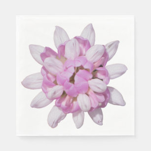 Crown Vetch #1 Servet