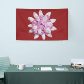 Crown Vetch #1 Spandoek (Beurs)