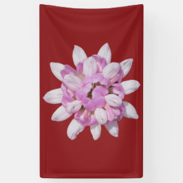 Crown Vetch #1 Spandoek