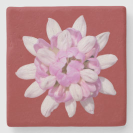 Crown Vetch #1 Stenen Onderzetter