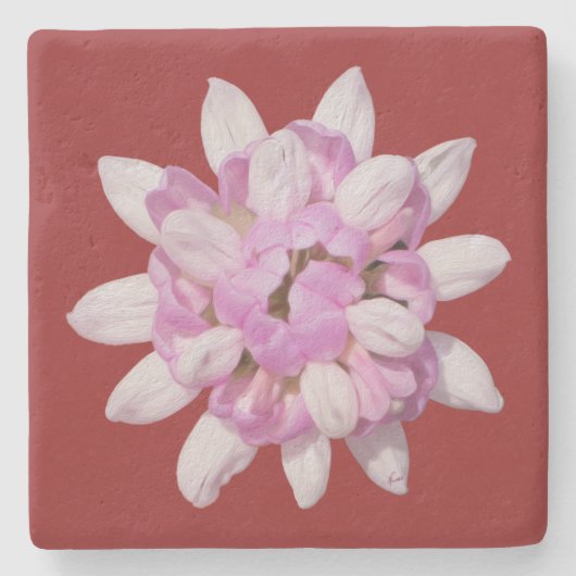 Crown Vetch #1 Stenen Onderzetter (Voorkant)