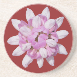 Crown Vetch #1 Zandsteen Onderzetter