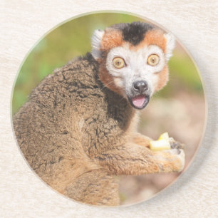 Crowned Lemur's Surprise: een openhartige expressi Zandsteen Onderzetter
