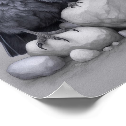 Crows Rock! Poster mit Krähen Eltern und Kind (Hoek)