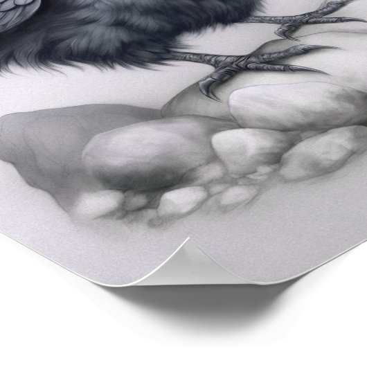 Crows Rock! Poster niedliche Krähe auf Steinen (Hoek)