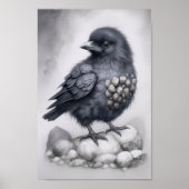 Crows Rock! Poster niedliche Krähe auf Steinen (Voorkant)