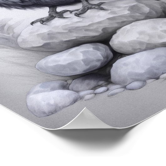 Crows Rock! Poster von Krähe mit Hut auf Steinen (Hoek)