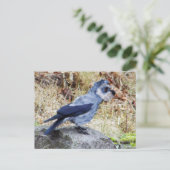 Crowschnauzer Briefkaart (Staand voorkant)