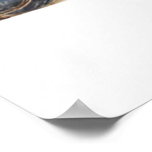 Crucifixatie van Giotto di Bondone Poster (Hoek)