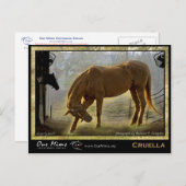 Cruella Post Card Briefkaart (Voorkant / Achterkant)