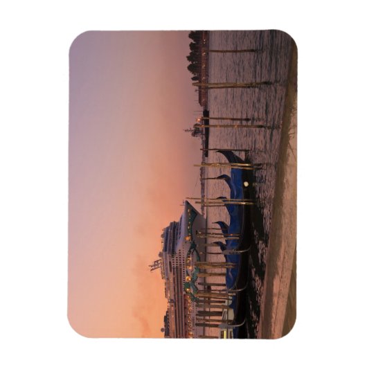 Cruise Ship et Gondolas nabij Grand Canal, Italië Magneet (Verticaal)
