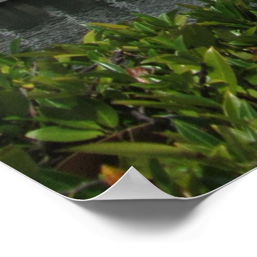 Cruise Ship in Vancouver, B.C. Canada Poster (Hoek)