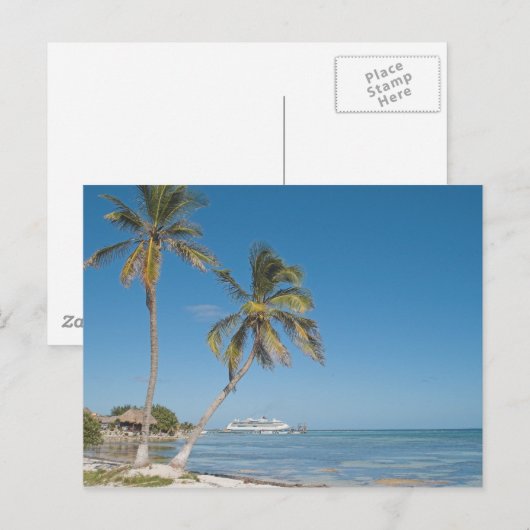 Cruiseschepen in Costa Maya Briefkaart (Voorkant / Achterkant)