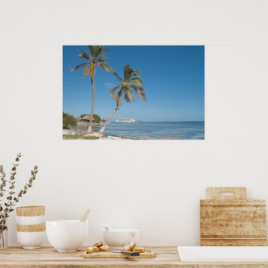 Cruiseschepen in Costa Maya Poster (Keuken)