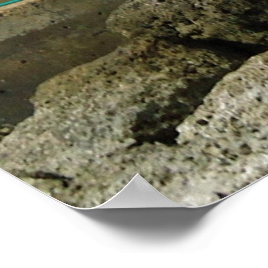 Cruiseschip bij CocoCay Poster (Hoek)