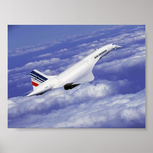 Cruisescorde Poster (Voorkant)