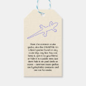CRUISETIKI! Blue Common Cruise Gecko Cadeaulabel (Voorkant)