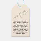 CRUISETIKI! Green Common Cruise Gecko Cadeaulabel (Voorkant)