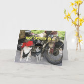 Cruisin enkel in Grappige Verjaardag Kaart (Gele Bloem)