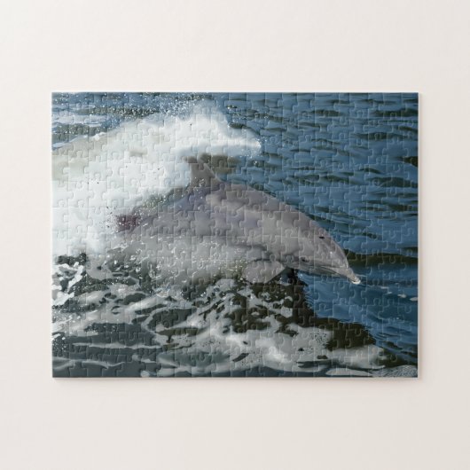 Cruisin'Dolphin Legpuzzel (Horizontaal)