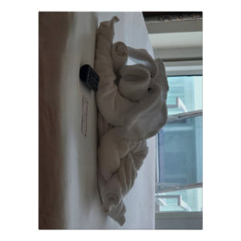 Cruising Pig Handdoek Dier Huisdier Perfect Poster