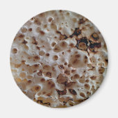 Crumpet Magnet (Voorkant)