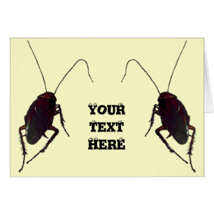 Crunchy Cockroach