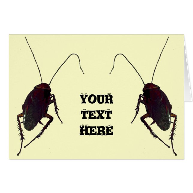 Crunchy Cockroach (Voorkant Horizontaal)