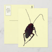 Crunchy Cockroach Briefkaart (Voorkant / Achterkant)